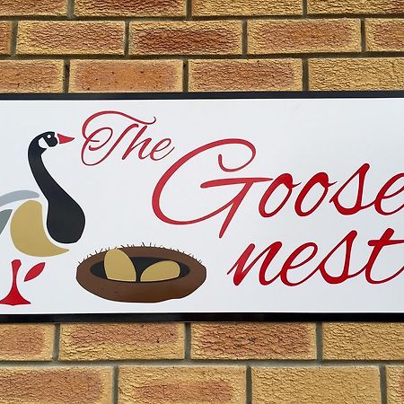 The Goose Nest Lejlighed Struisbaai Eksteriør billede