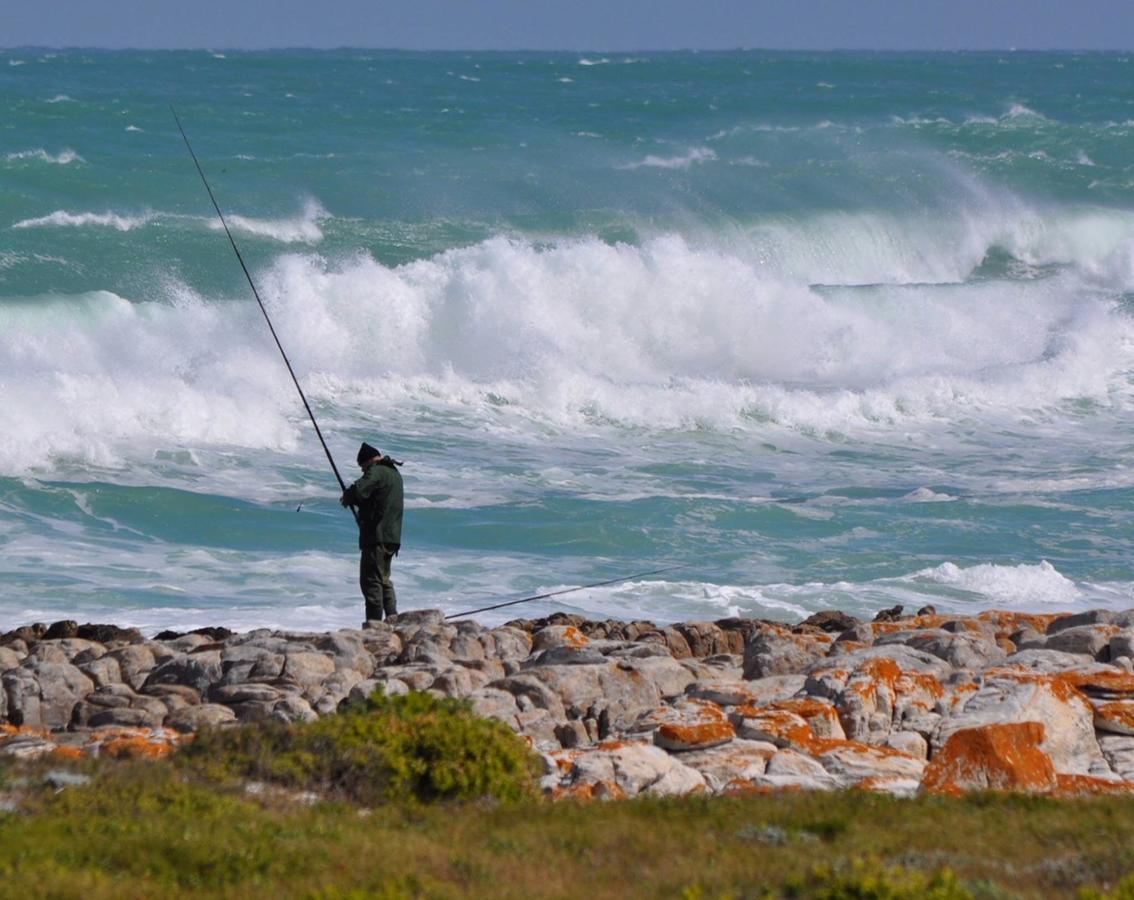 The Goose Nest Lejlighed Struisbaai Eksteriør billede