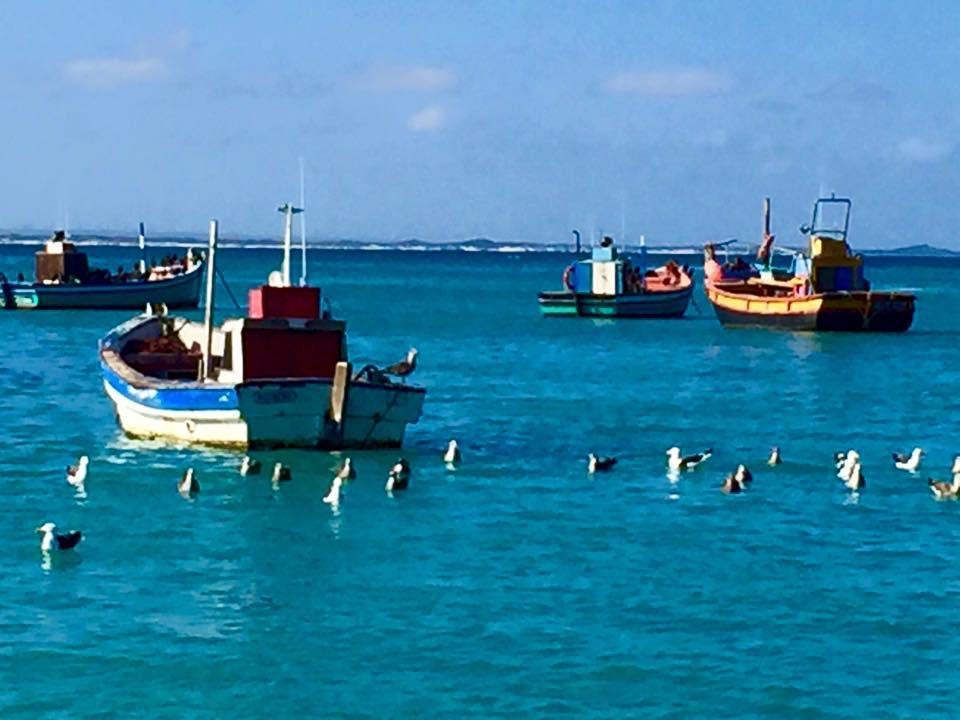 The Goose Nest Lejlighed Struisbaai Eksteriør billede